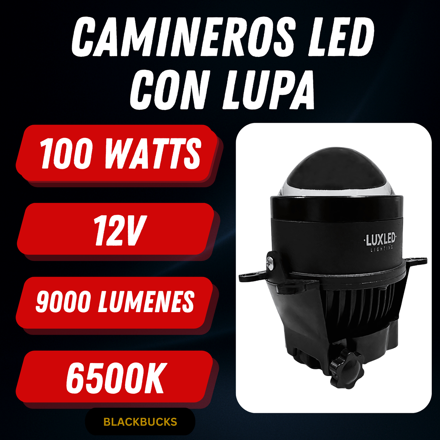 Kit Faros Camineros Led Con Lupa Proyectores H11 Auxiliares