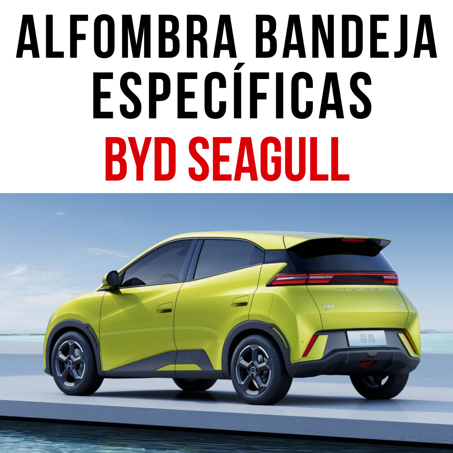 Alfombra Bandeja Rígida Byd Seagull Juego 5d Original Auto