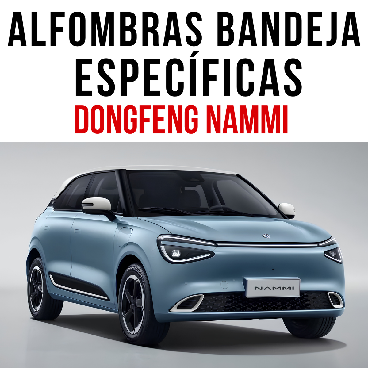 Alfombra Dongfeng Nammi Juego Bandeja Rígida 5d Original auto