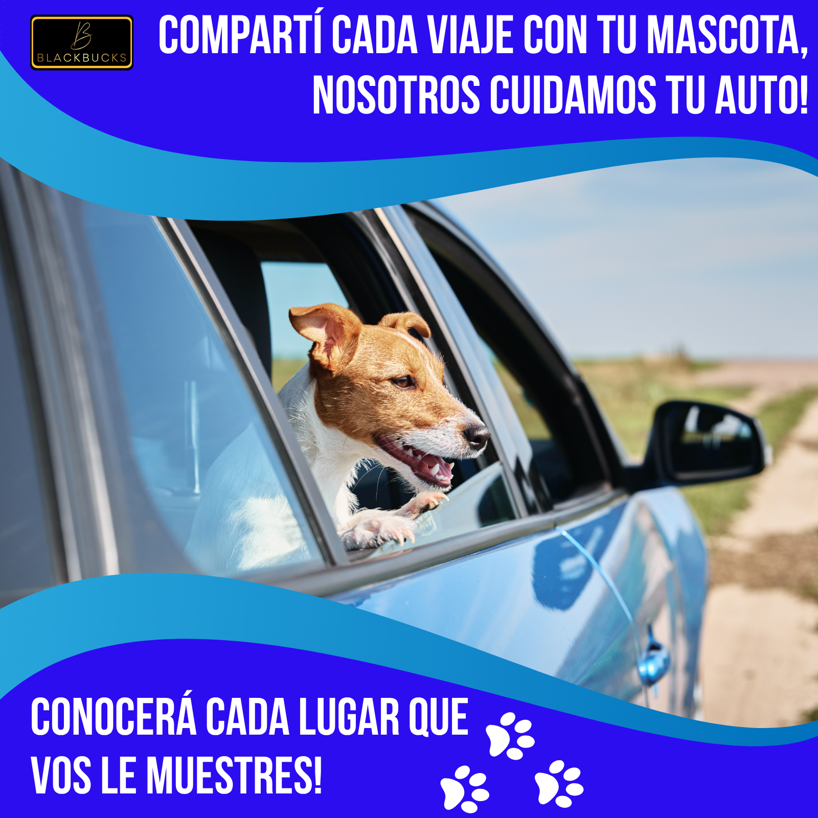 Funda Cubre Asiento Auto Protector Impermeable Mascotas