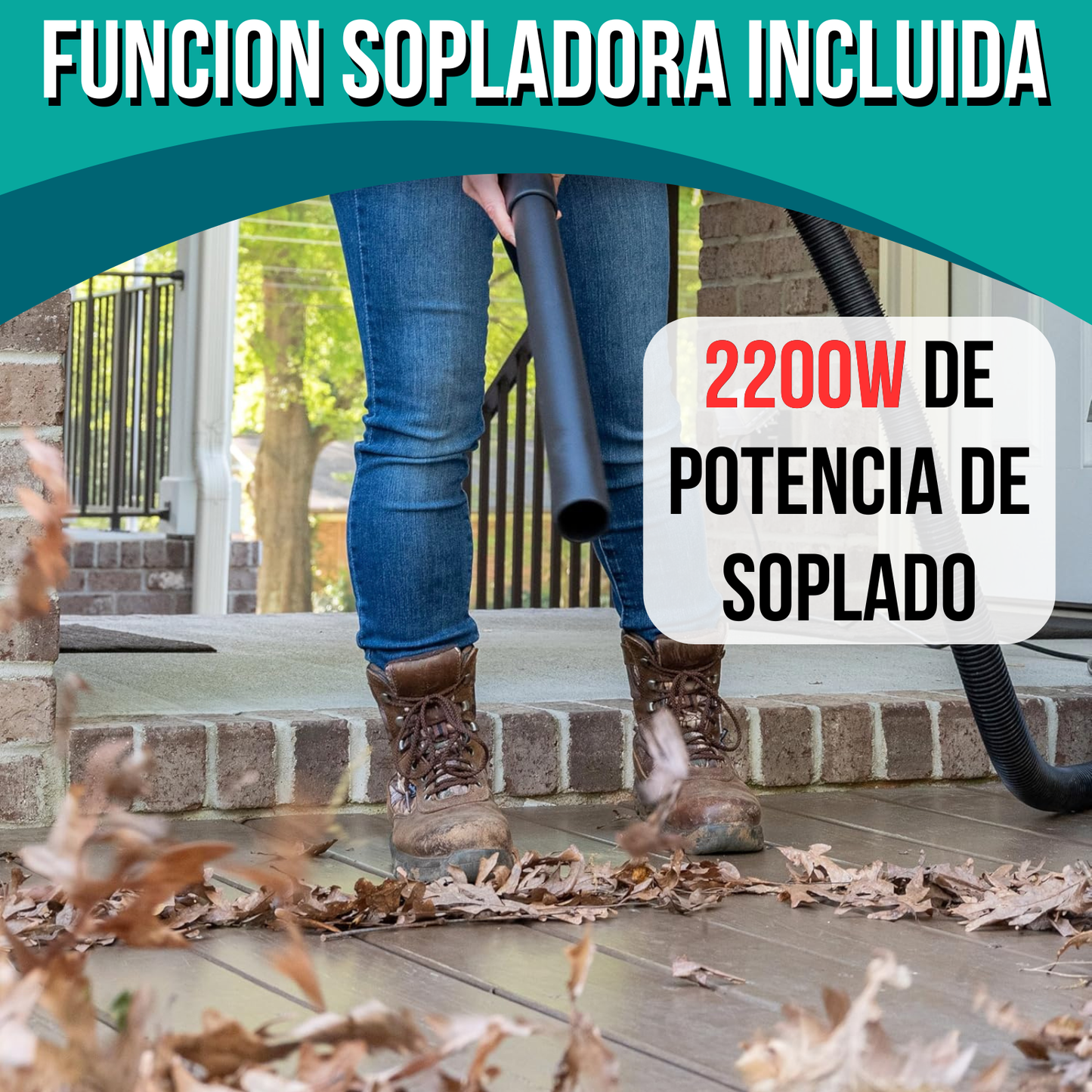 Aspiradora Industrial Profesional Sin Bolsa Tacho Balde 2200W